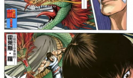 铁拳动漫,热血格斗，命运对决